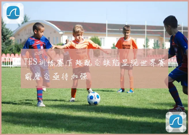 TES训练赛下路配合缺陷显现世界赛前磨合亟待加强